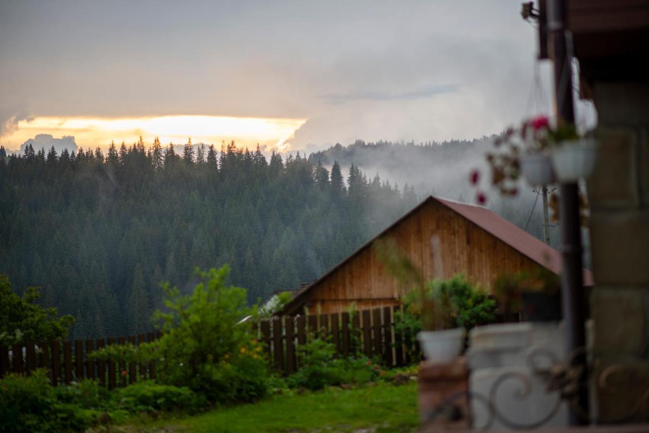 Villa Filiak Яблуниця Екстер'єр фото