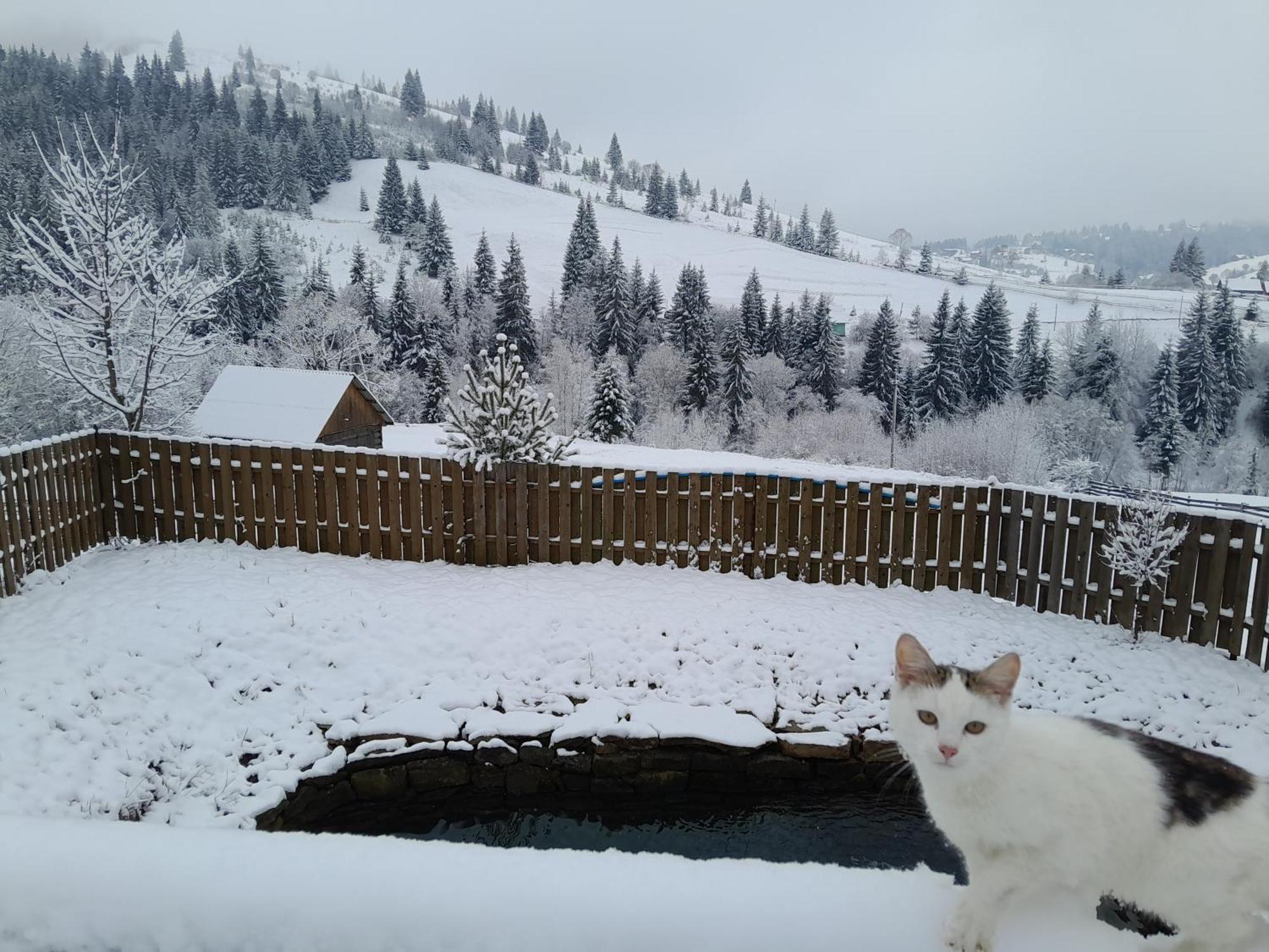 Villa Filiak Яблуниця Екстер'єр фото