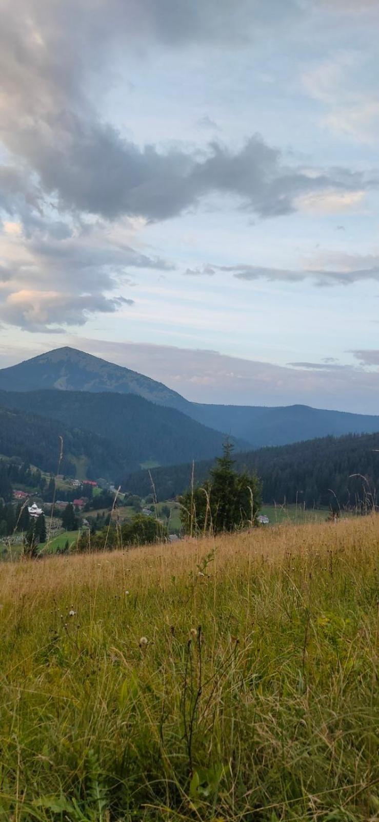 Villa Filiak Яблуниця Екстер'єр фото
